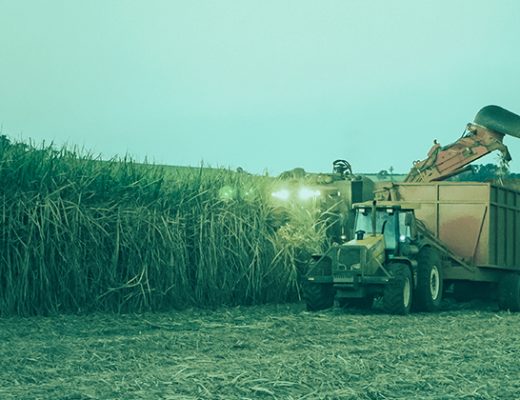 PIB do Agronegócio